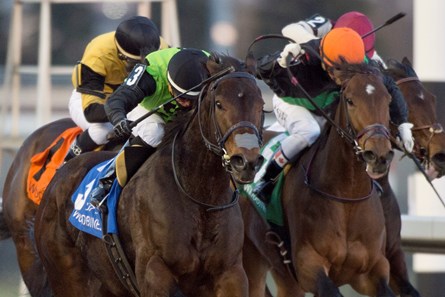 Moonlit Promise wins the 2017 Bessarabian Stakes (G2)