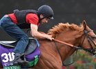 Ulysses training at Del Mar