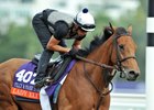 Lady Eli