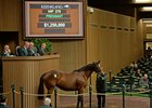 Lucky to Be Me brings $1,250,000