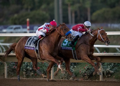 Gun Runner wins the 2017 Breeders' Cup Classic