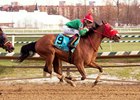 Afleet Willy wins the Richard W. Small Stakes at Laurel Park