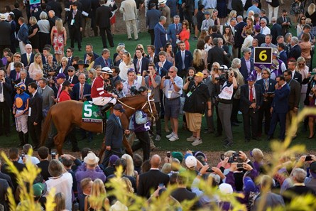 Paddock scenes before the Breeders Cup Classic