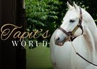 Gainesway Farm 2016