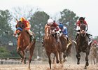 Hoppertunity (left) outfinishes Tapiture (middle) and Ride On Curlin to win the Rebel Stakes.
