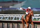 Gun Runner is the 2017 Horse of the Year