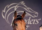 Lady Eli, who has been recovering, emerged from the Breeders' Cup with significant leg lacerations