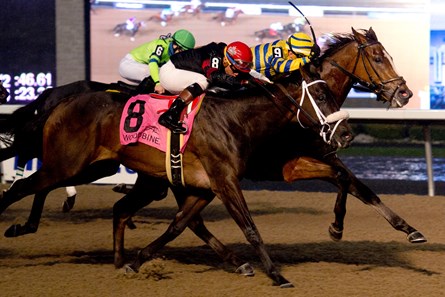 Jockey Rafael Hernandez guides Be Vewy Vewy Quiet (inside #9) outduels Stronach Stable's #8 Silent Sting to victory in the 2017 Frost King Stakes at Woodbine