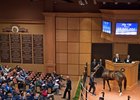 Tepin sells to representatives of Coolmore Stud for $8 million at the Fasig-Tipton November sale