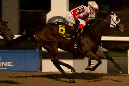 Line of Vision wins the 2017 South Ocean Stakes