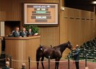 Xavier Bloodstock International went to $260,000 for Aqua Regia who is in foal to Dialed In