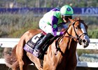 Breeders' Cup Juvenile winner and champion 2-year-old colt Good Magic is the co-second choice in the KDFW at 8-1