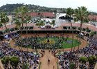 Del Mar hosted the Breeders' Cup World Championships for the first time this year