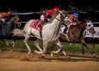 Scuba wins the Hawthorne Gold Cup Nov. 25 at Hawthorne Race Course