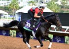 Beach Patrol gallops ahead of the Breeders' Cup Turf at Del Mar