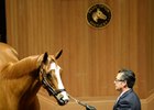 Catch a Glimpse brings a final bid of $3 million Nov. 6 at the Fasig-Tipton November sale