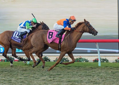 Off Limits (IRE) wins the 2017 Matriarch Stakes (G1)