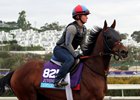 Untamed Domain training Nov. 1 at Del Mar