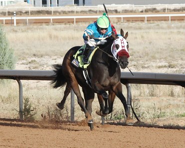 Indian Jack wins the 2017 Eddy County Stakes