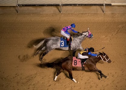 Shar Ran winning the Powerless Handicap at Hawthorne Racecourse on 11/25/17. Edgar Perez up.