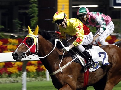 California Aspar wins the 2017 Hamilton Handicap