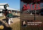 2017 Keeneland November Sale Day 3 Recap