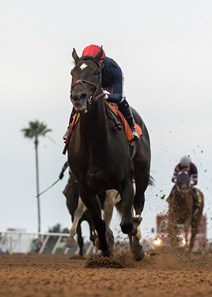 Majestic Heat and jockey Flavien Prat win the $100,000 Betty Grable Stakes, Sunday, November 12, 2017 at Del Mar Thoroughbred Club, Del Mar CA.
© BENOIT PHOTO