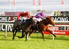 Saxon Warrior (inside) and Roaring Lion duel to the wire in the Racing Post Trophy Stakes