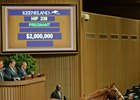 Enchanted Rock goes for $2 million at the Keeneland November sale