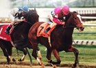 Mariah's Storm takes the 1995 Falls City at Churchill Downs