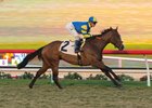 Analyze It soars clear under Jose Ortiz to win the Cecil B. DeMille Stakes at Del Mar