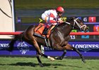 Kitten's Roar is in control late in the Goldikova at Del Mar