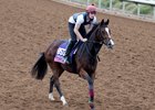 Happily on the track ahead of the Juvenile Fillies Turf during last year's Breeders' Cup at Del Mar