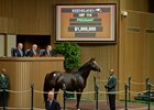 Oscar Party brought $1.9 million in foal to Tapit