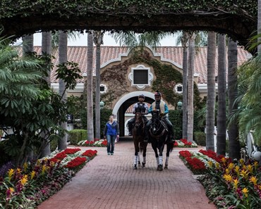 Moonshine Memories trained by Simon Callahan walks from the barn to the paddock early this morning Wednesday Nov. 1, 2017 at Del Mar Race Track in San Diego, CA. Moonshine Memories will compete in the 14 Hands Winery Juvenile Fillies on Friday.