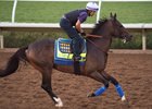 Mubtaahij galloping before an eighth-place finish in the Breeders' Cup Classic at Del Mar