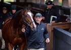 Twirl was a $3.1 million RNA at the Keeneland November sale