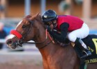 Sandy's Surprise wins the 2017 Zia Park Oaks