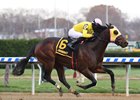 Control Group wins the Discovery Stakes at Aqueduct Racetrack