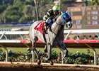 Greyvitos wins the Bob Hope Stakes at Del Mar