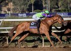 Reigning juvenile champion Good Magic chases down Solomini to take the Breeders' Cup Juvenile at Del Mar