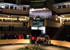 Lot 541, a filly by Galileo, sells for €1.1 million Nov. 22