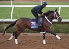 Firenze Fire training ahead of the Breeders' Cup Juvenile at Del Mar