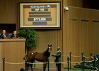Hip 105, a filly by Tapit out of grade 1 winner My Conquestadory, brought $775,000