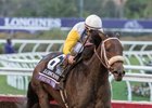Forever Unbridled