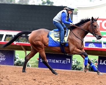 Baffert trainee at Del Mar