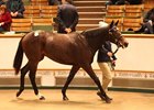 Lot 162, a Kodiac filly, topped the Nov. 27 sale at 400,000 guineas