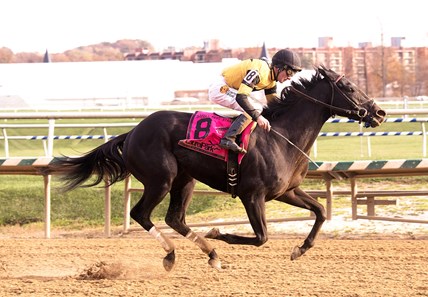 Berned wins the 2017 Safetly Kept Stakes