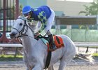 Mr. Jordan wins the Millions Classic Preview Stakes at Gulfstream Park West by 11 1/2 lengths