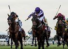 Untamed Domain (outside) runs second by a length to Mendelssohn in the Breeders' Cup Juvenile Turf